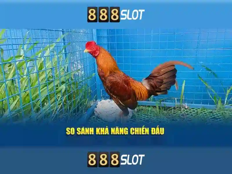 Các trò chơi và công nghệ