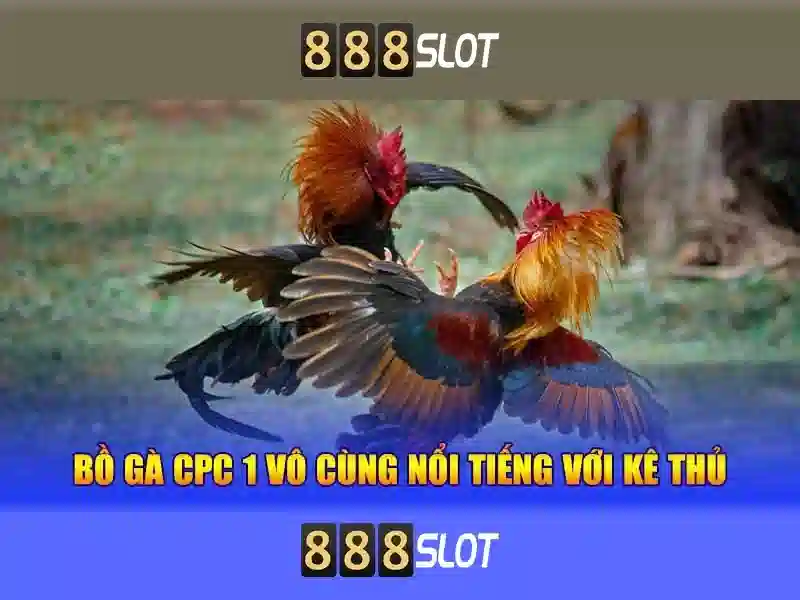 Giao diện và trải nghiệm di động