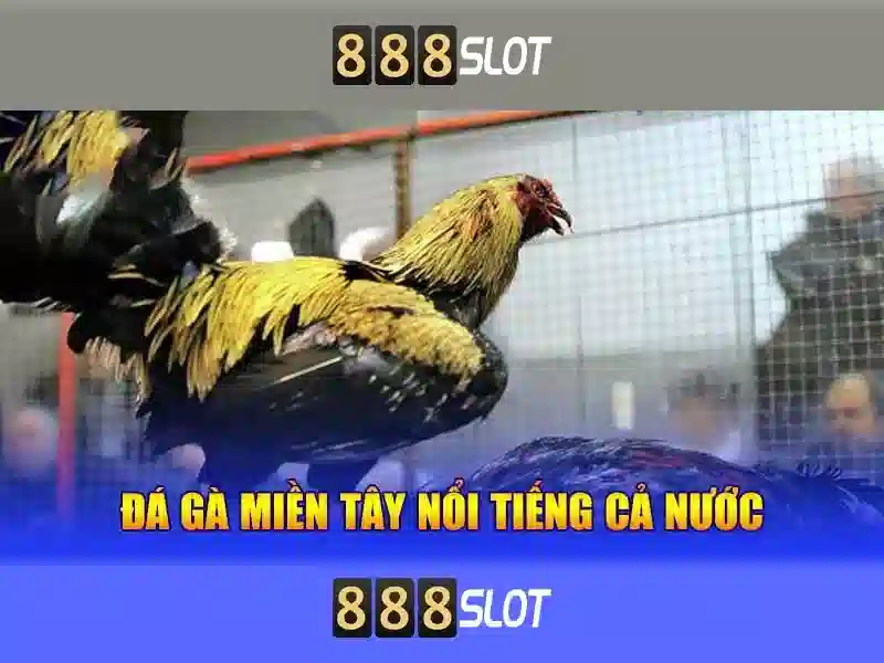 Trò chơi slot đa dạng