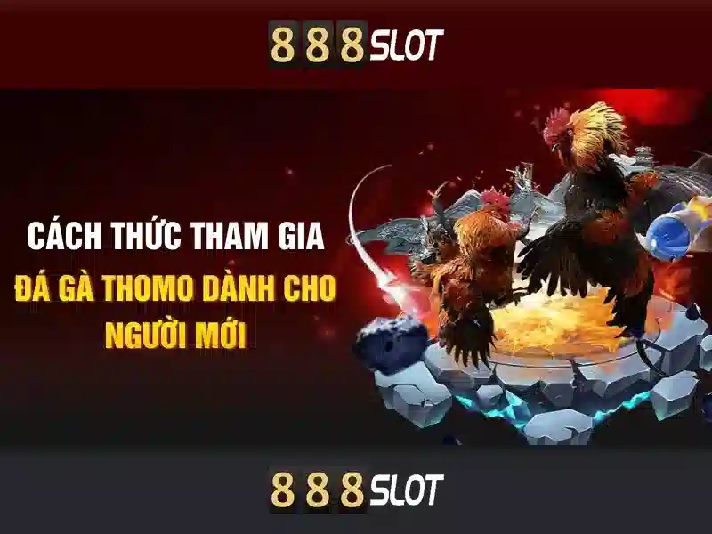 Khuyến mãi và chương trình khách hàng thân thiết