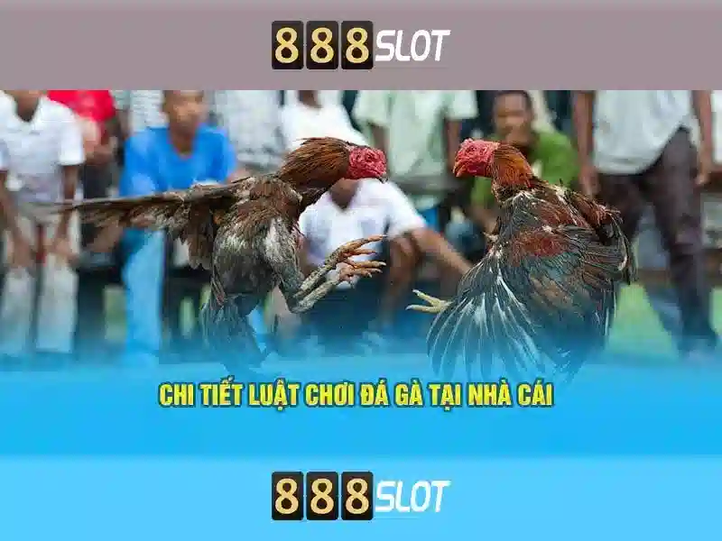 An toàn và hỗ trợ người chơi