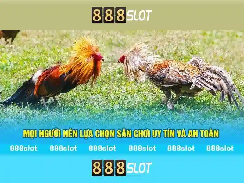 888slot la nha cai game danh cho nguoi choi slot