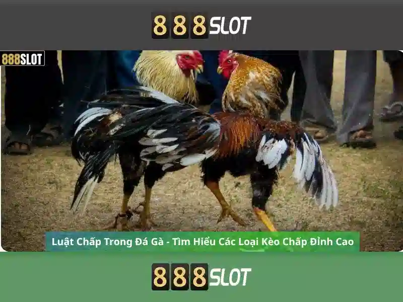 Bull Bull trực tuyến