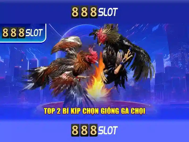 Trải nghiệm người dùng và phản hồi cộng đồng Trải nghiệm người dùng và phản hồi cộng đồng