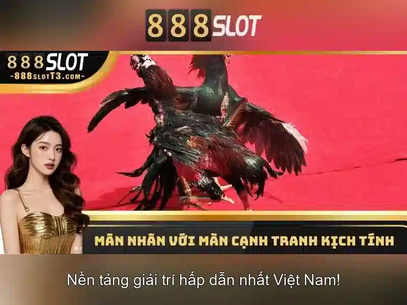 Ưu điểm và tính năng nổi bật
