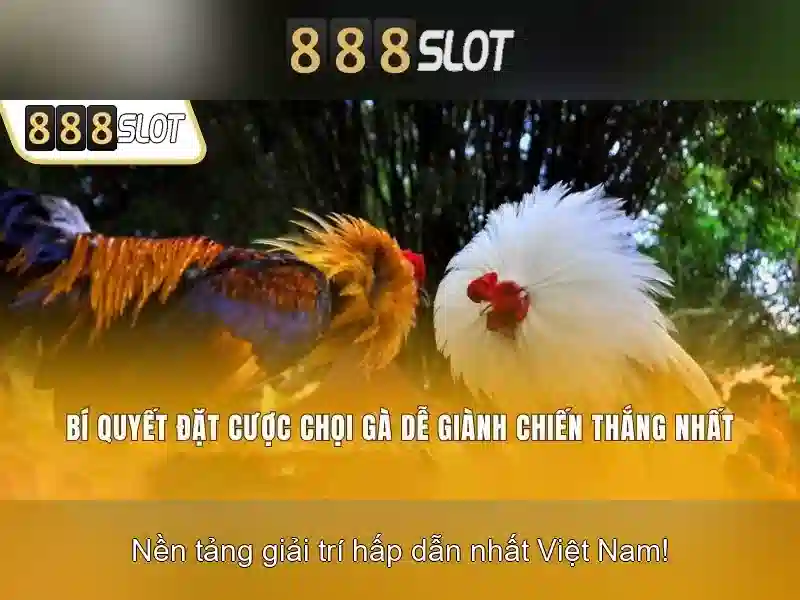 Trải nghiệm người dùng và phản hồi cộng đồng Trải nghiệm người dùng và phản hồi cộng đồng