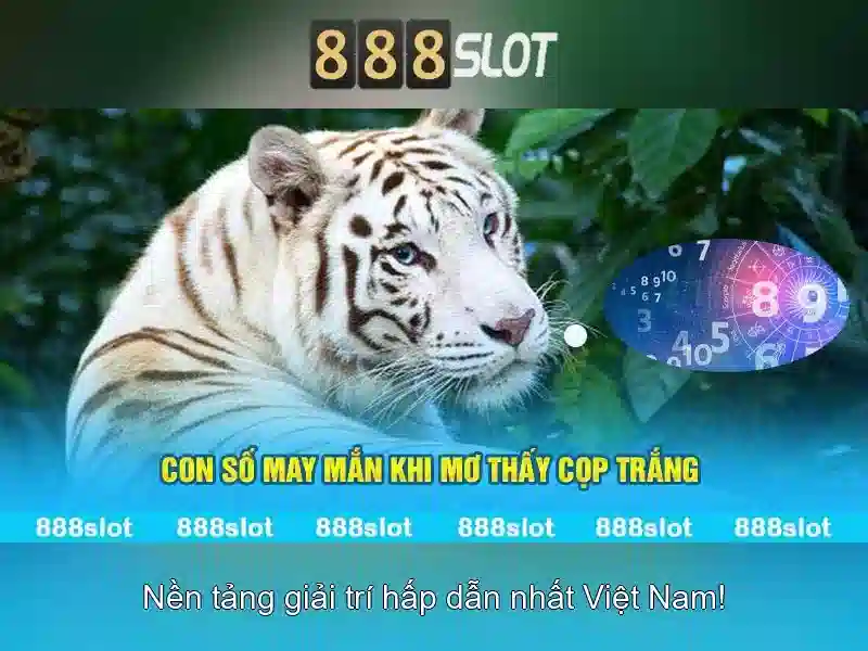 Các trò chơi và trải nghiệm