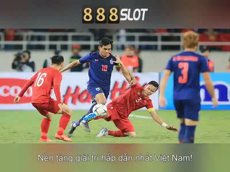 verification_process