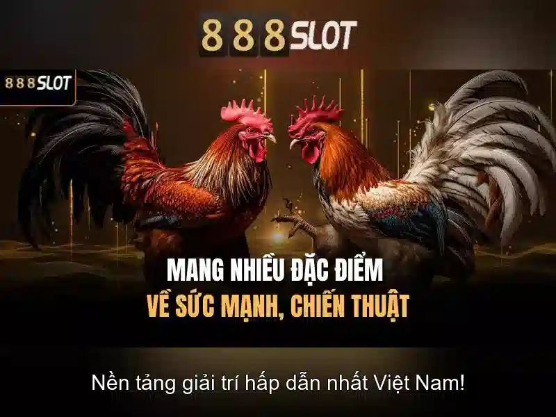 Giới thiệu về 888slot